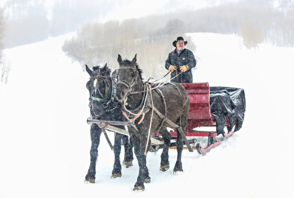 Snowed inn Sleigh Park City Utah